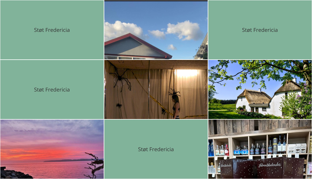 Nyt fra Pole Fitness Vejle, FREDERICIA VINHANDEL, DANBOLIG Fredericia og 2 andre
