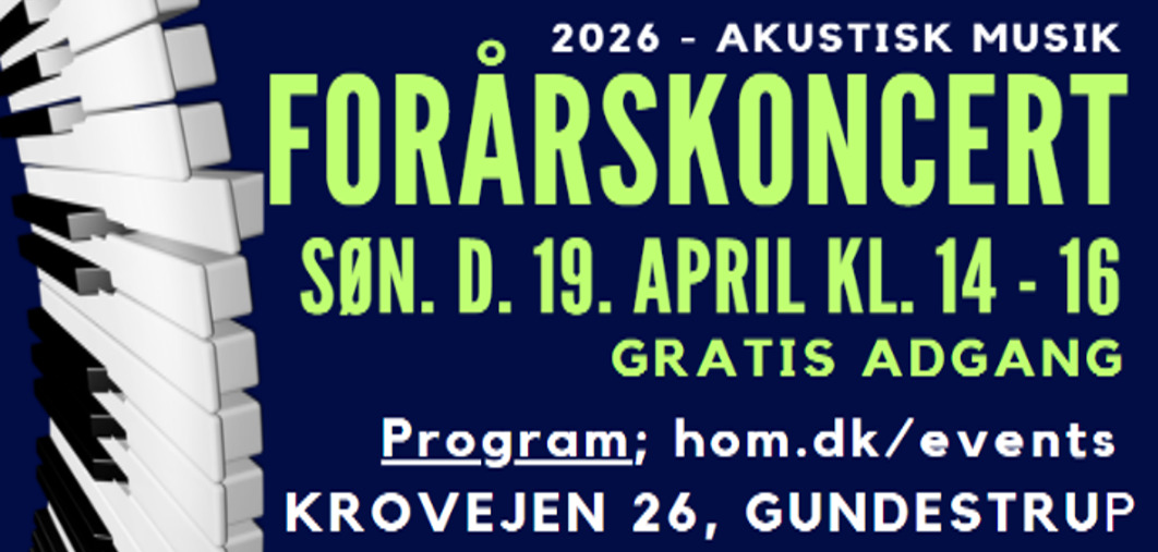 Akustisk musikdag på Holbæk og Omegns Musikskole