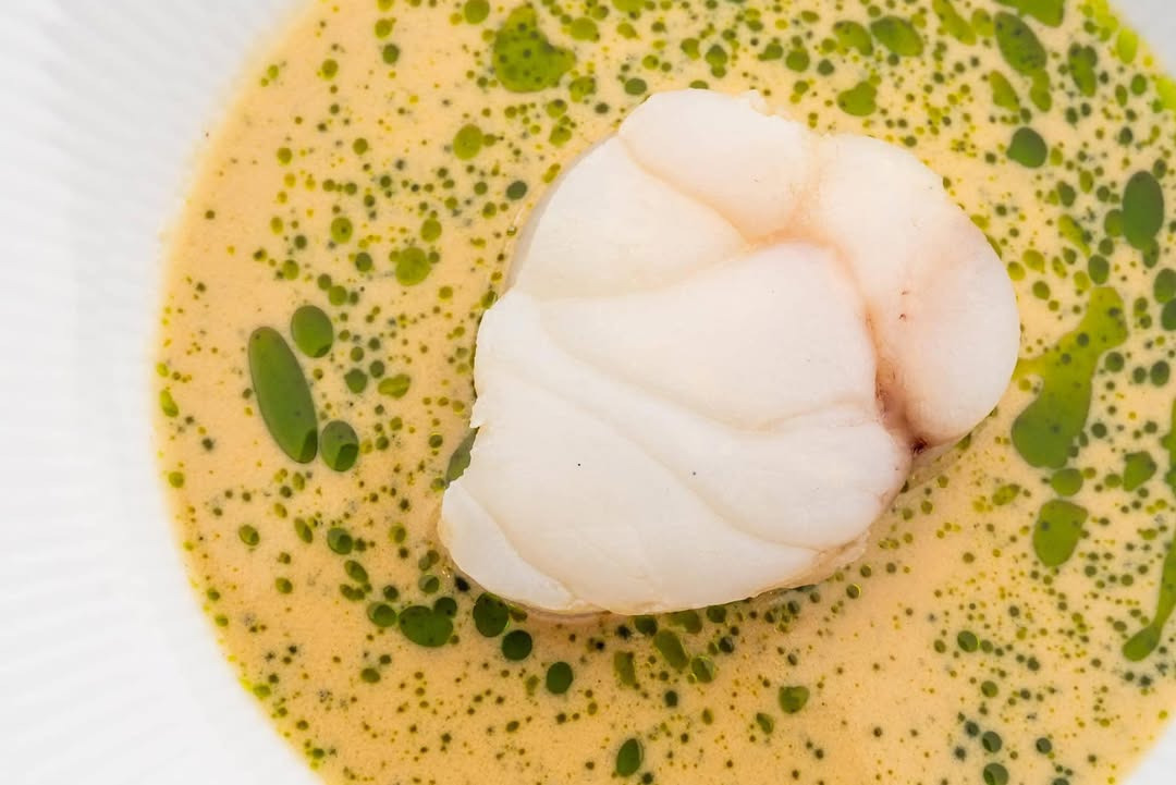 Dolphin Hotel Herning søger værtinde eller vært med udstråling og energi til byDolphin