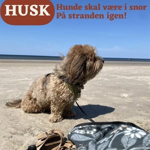 Opslagsbillede
