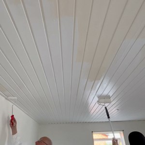 Opslagsbillede