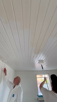 Opslagsbillede