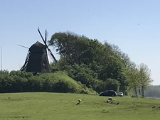 Traditionsrig høstfest ved Havnø Mølle