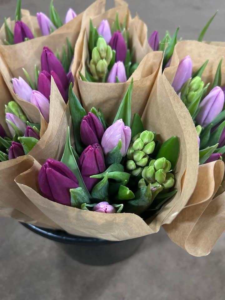 Ja tak tulipan-tilbud hos Løvbjerg Frederikshavn: Smukke buketter til kun 59,99 kr. pr. bundt!