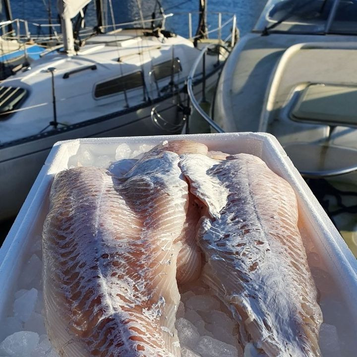 SuperBrugsen Dronninglund inviterer til ja tak-tilbud på fersk kullerfilet