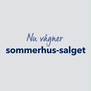 Opslagsbillede