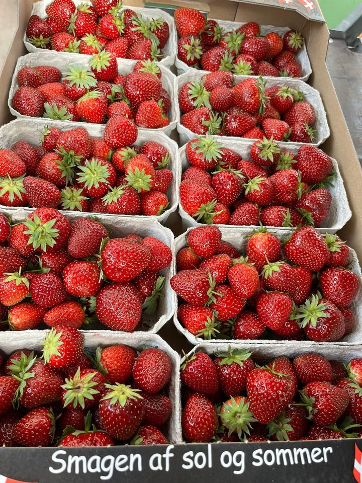 Hold dig ajour med dagens opdateringer fra Horsens