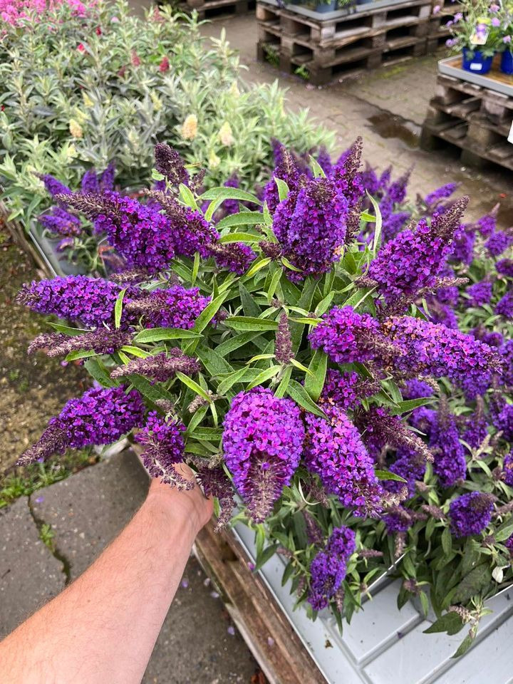 Hold trit med lokalområdet: Nyt fra Horsens