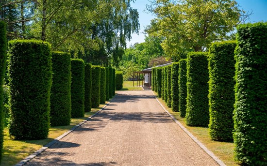 Priser op til 79,5  mio. kroner: Se de dyreste boliger til salg i Hørsholm Kommune