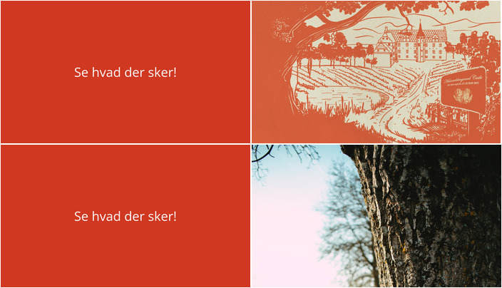 Spændende weekend i Bogense: Oplev rosenmiddag og Æbelø vandretur