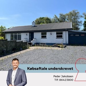 Opslagsbillede