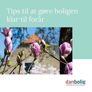 Opslagsbillede