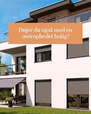 opslagsbillede