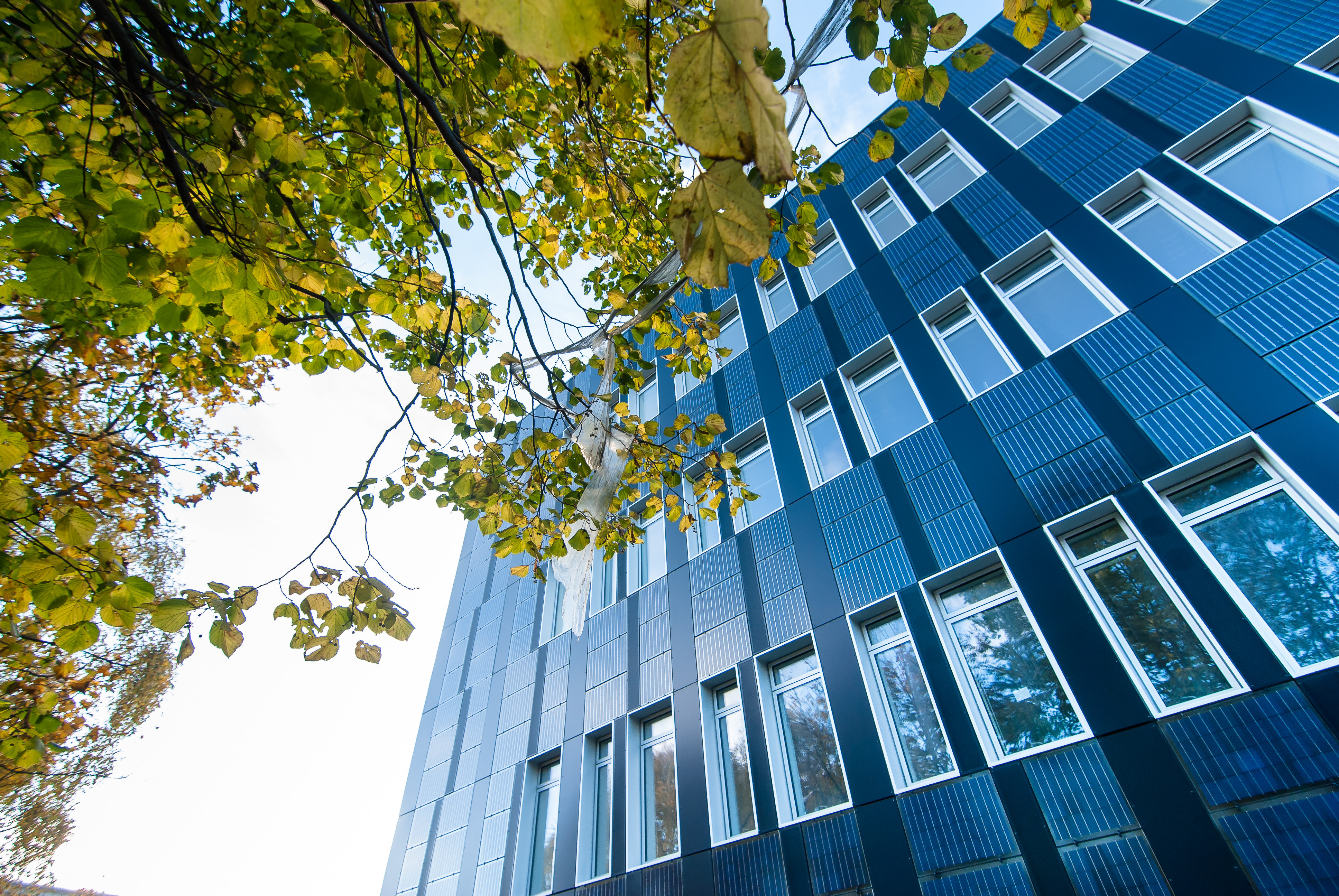 Kommunen opdagede fejl: Betaler mest muligt tilbage