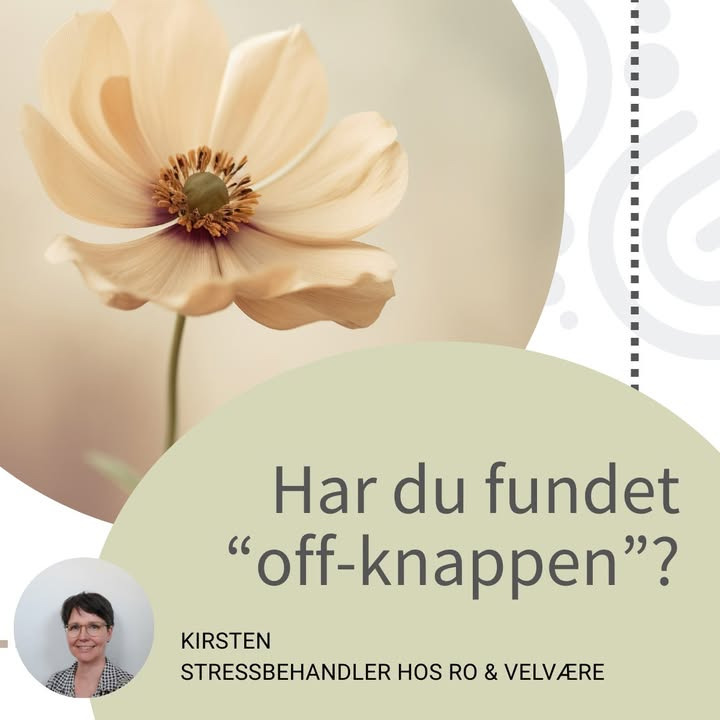 Ro og velvære lancerer ny Facebook-gruppe for stressramte, der ønsker ro på tankerne