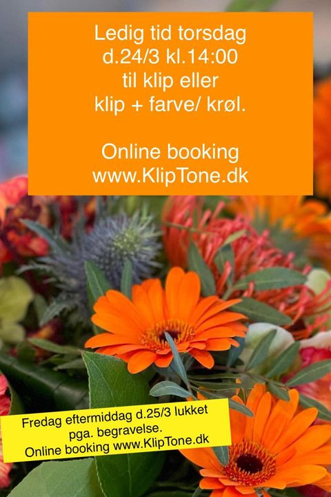 Det nyeste på Skives opslagstavle