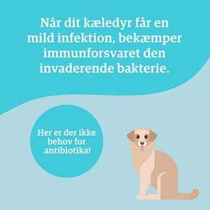 Opslagsbillede
