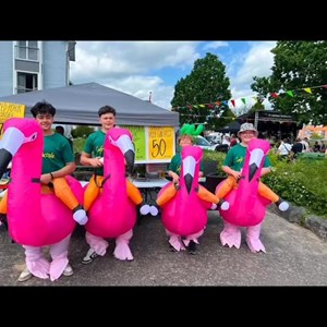 Opslagsbillede