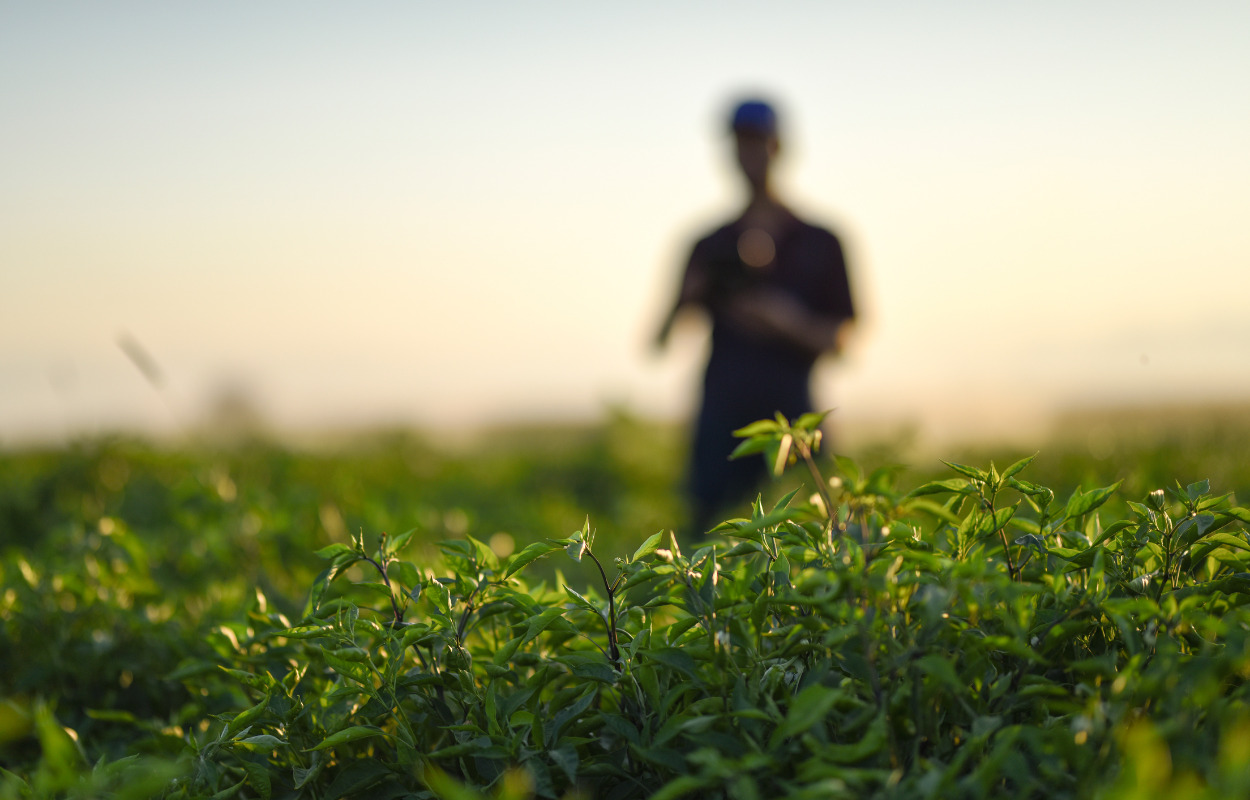 Stor interesse for økologisk drift