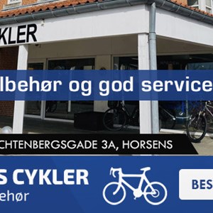 Opslagsbillede