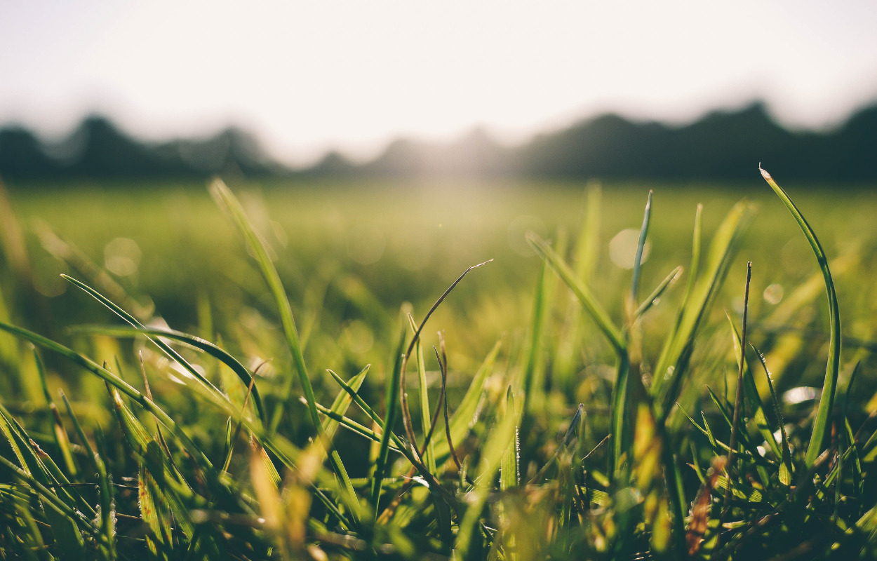 Grøn lokalplan i Aars vedtaget