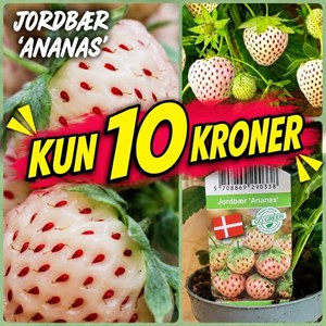 Opslagsbillede