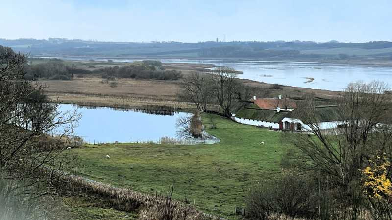 Udforsk Halkærs naturskønhed med Dansk Vandrelaug
