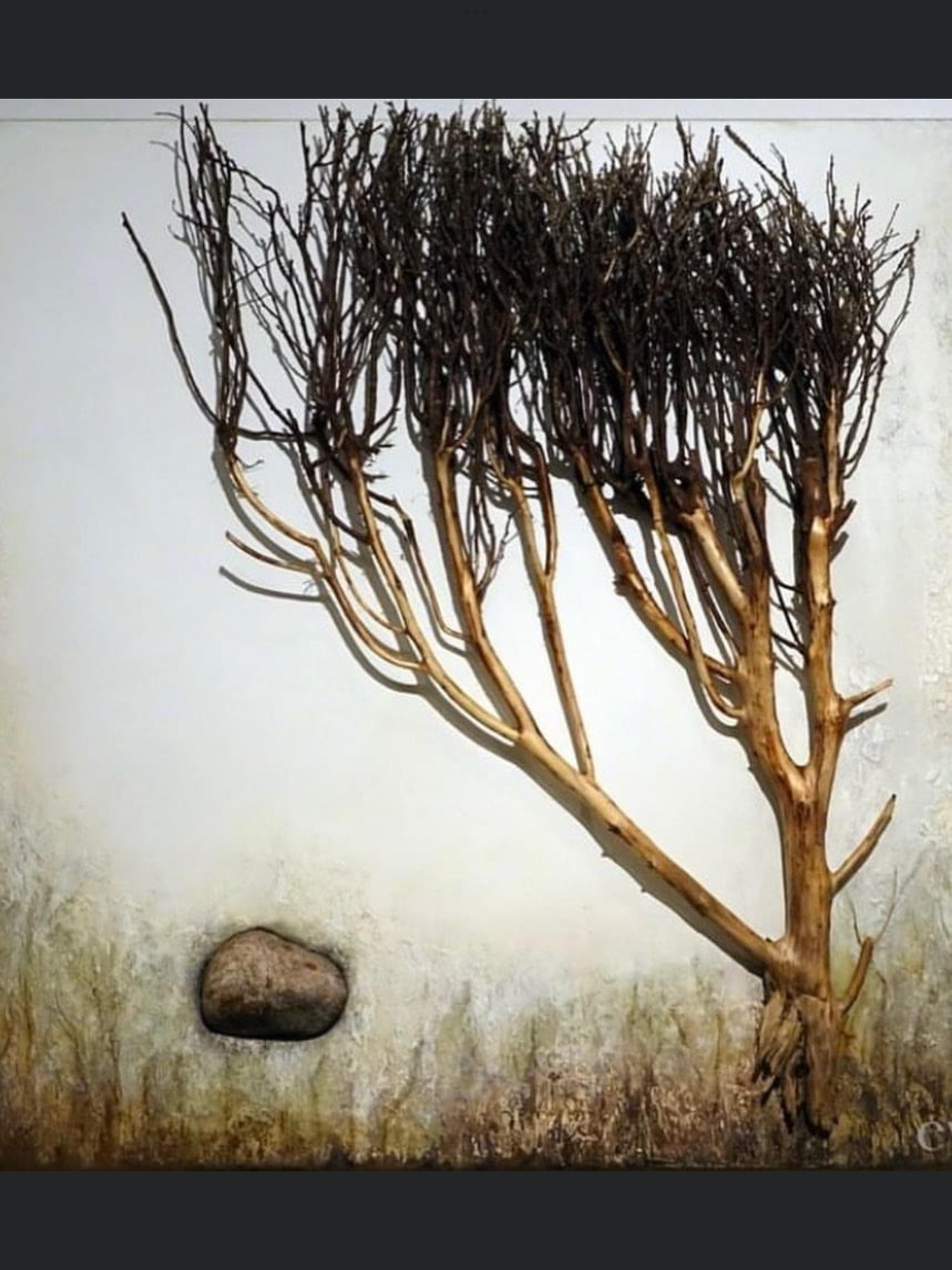 Jammerbugt kommune fremmer kulturelt samarbejde med international kunstudstilling