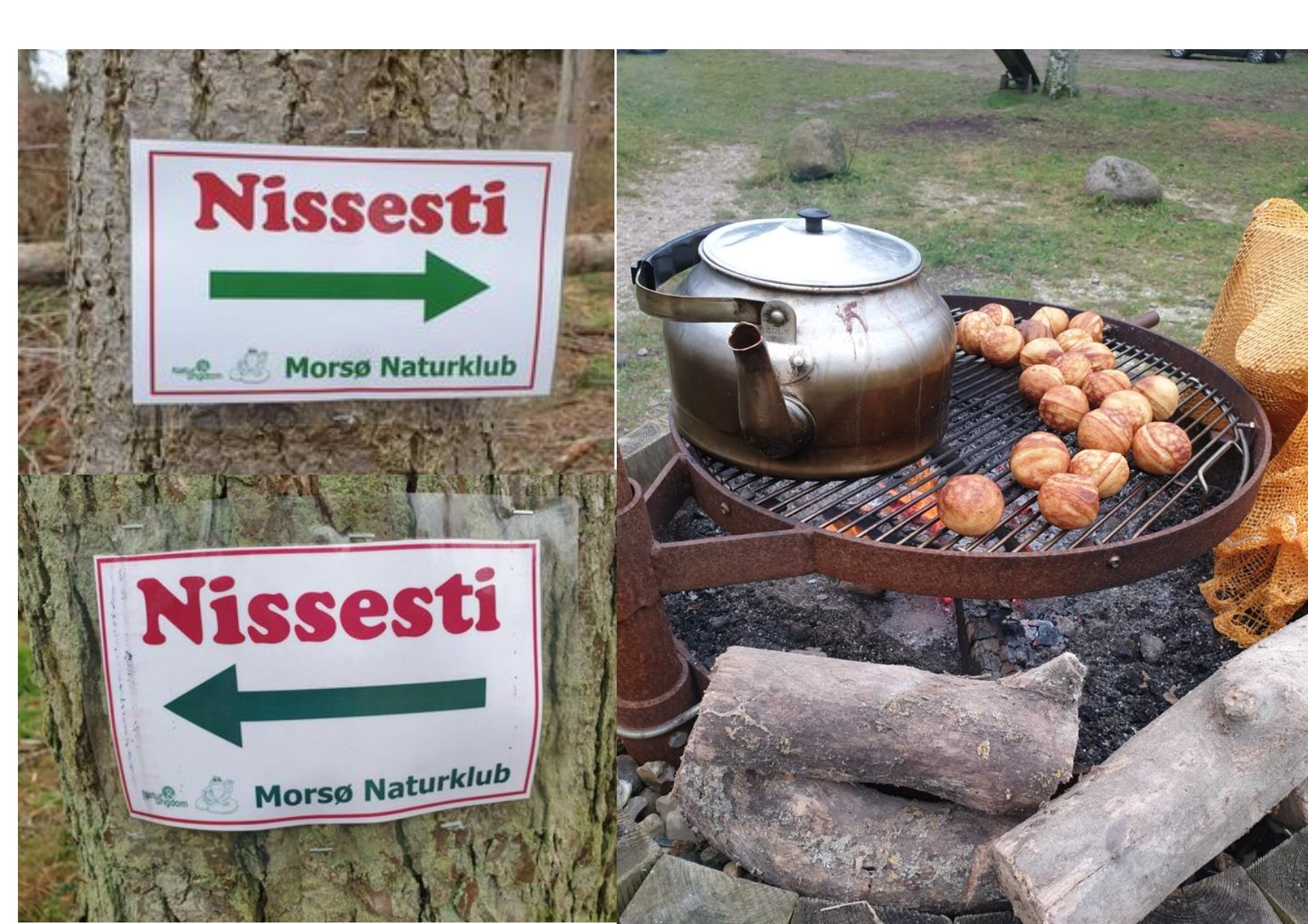 Tag på nissestien med Morsø Naturklub