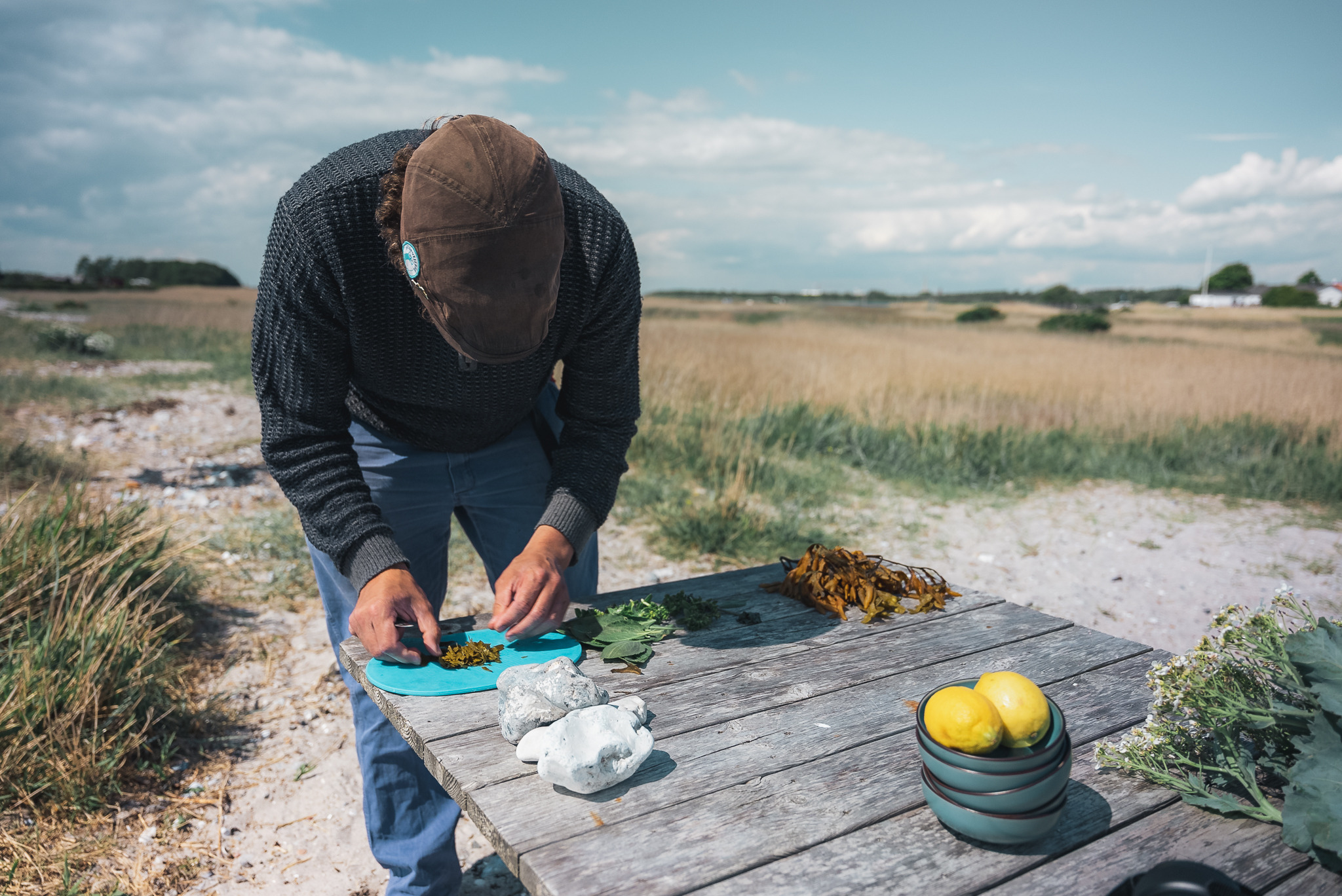 Oplev kystens skatte med sanketure i Assens
