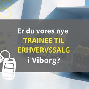 opslagsbillede