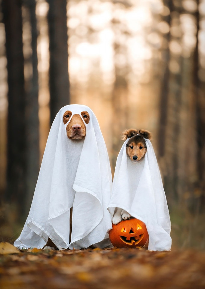 Nyt på opslagstavlen i Vejle