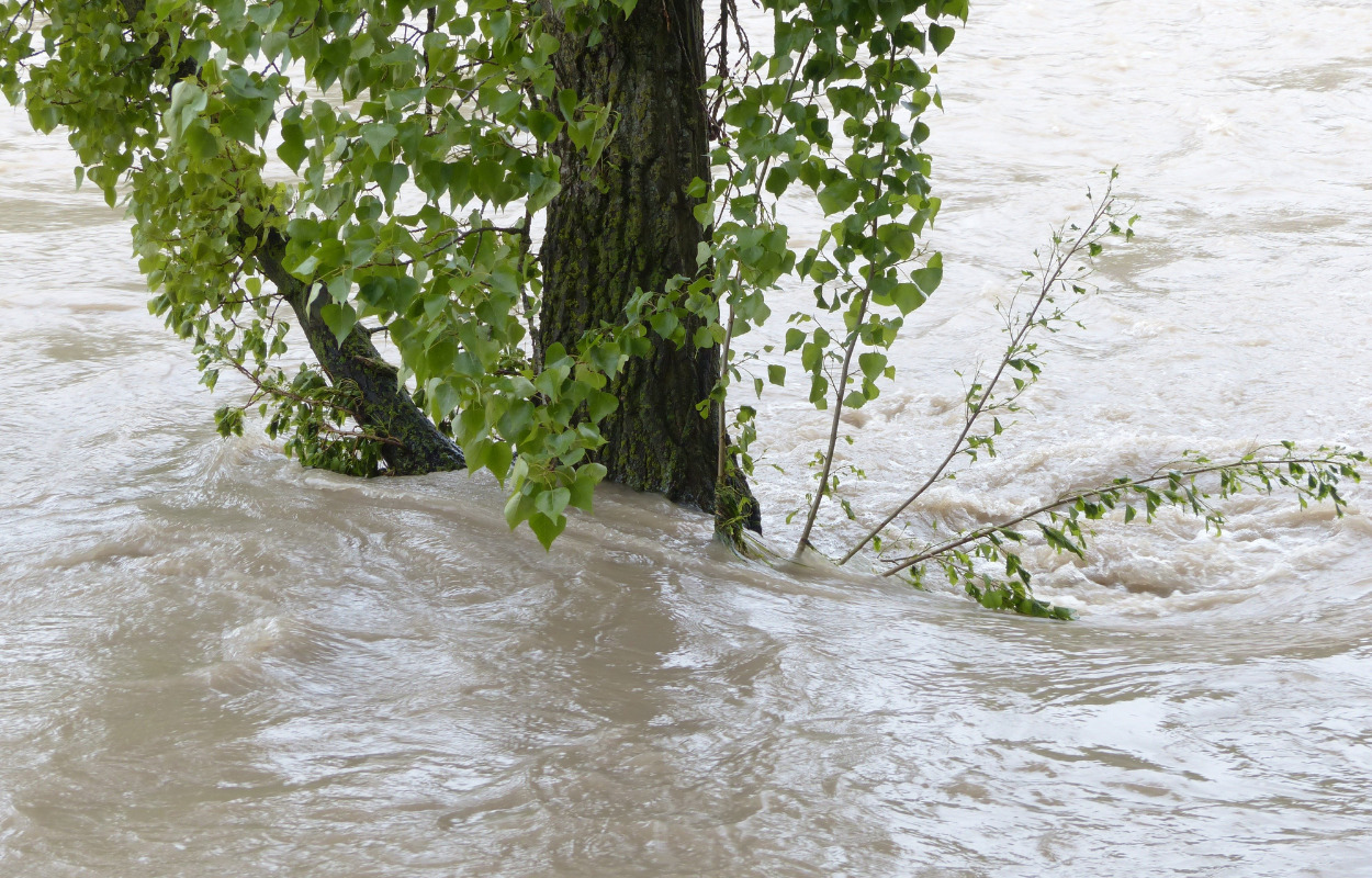 Klimaændringer: Hvor er Frederikshavn mest sårbar?
