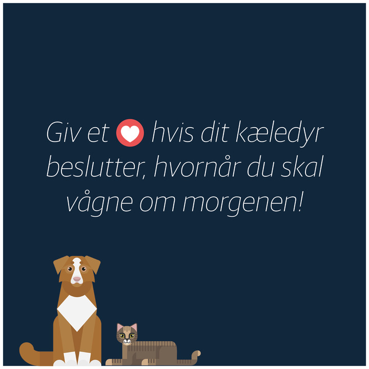 Nyt på opslagstavlen i Hjørring