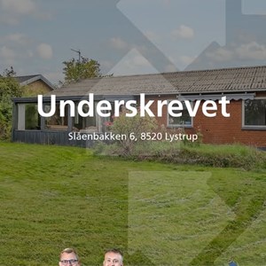 Opslagsbillede