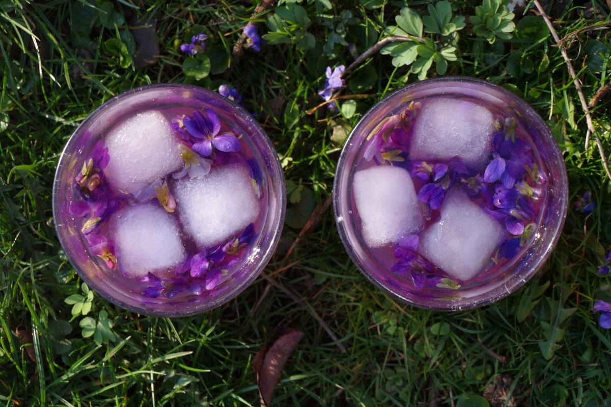 Vild fredagsbar tager dig med på en smagsrejse i naturen