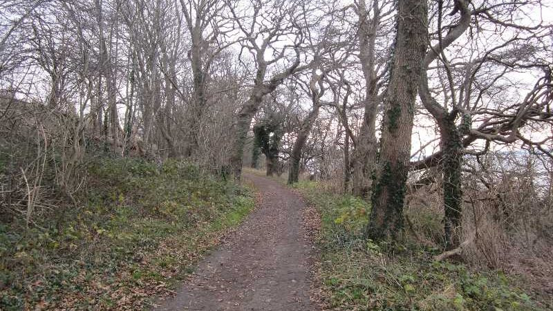 Oplev en smuk vandretur i Horsens med fjordudsigt