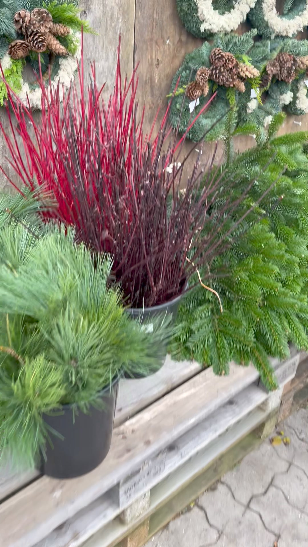 Efterårs- og vinterkranse i høj kvalitet fra Midtjysk Blomstermarked, priser fra 70 kr.