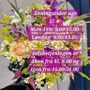 Opslagsbillede
