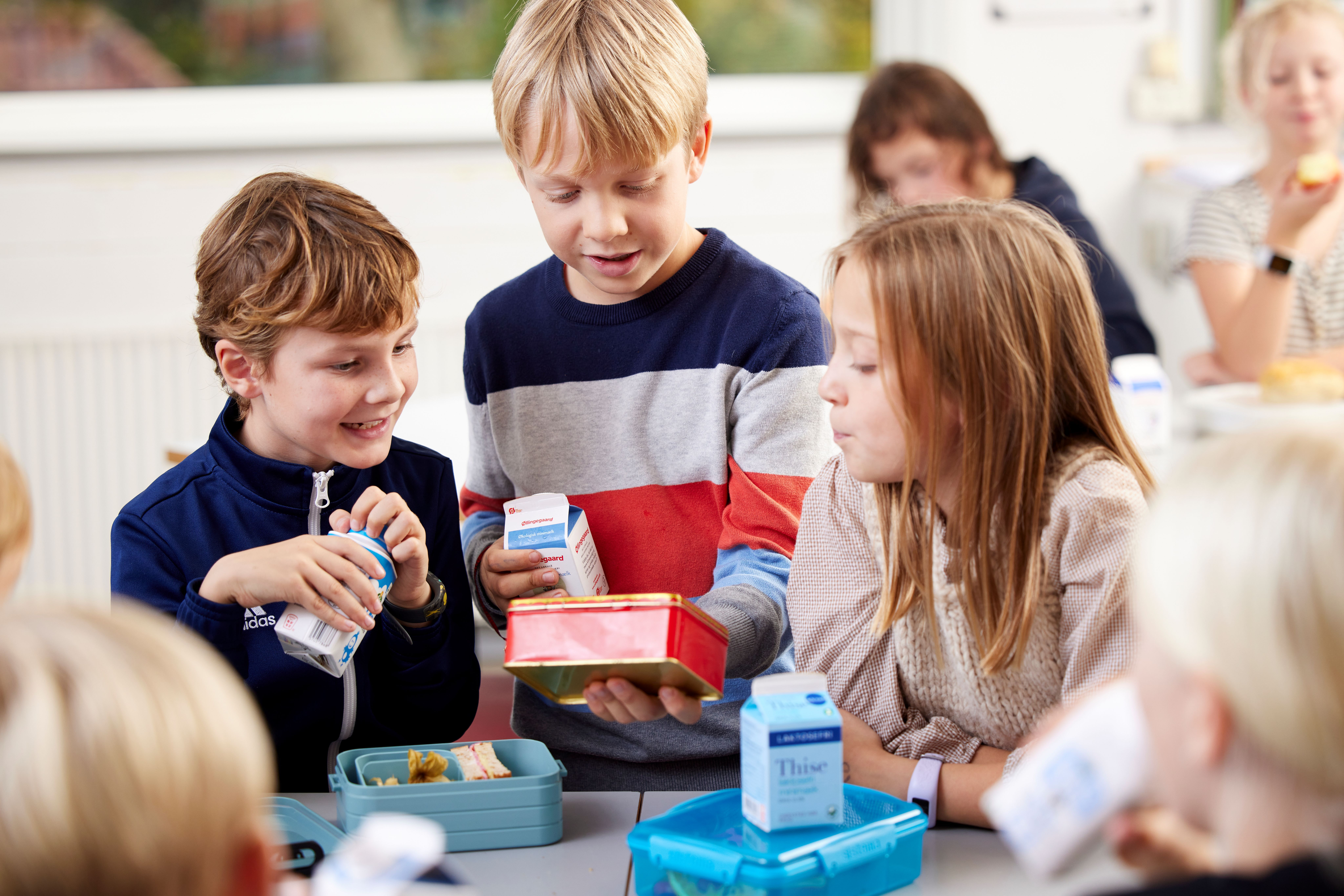 Tre skoler i Odense får støtte fra Skolemælkslegatet