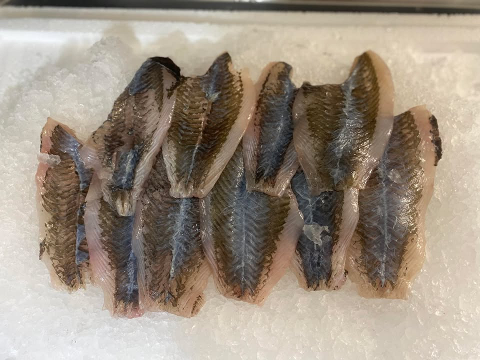 Havnens Fisk Øster Hurup tilbyder flotte friske skrubbefileter