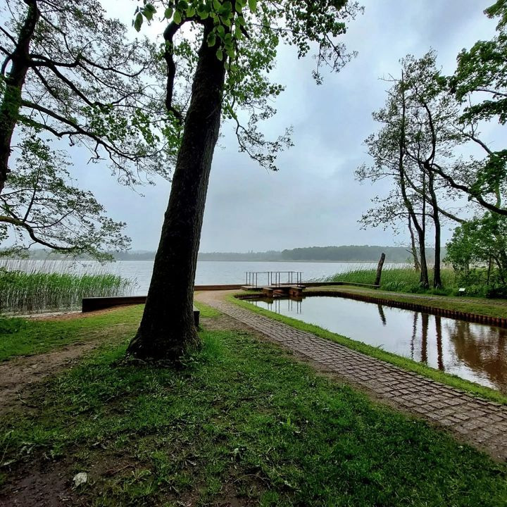Hold trit med lokalområdet: Nyt fra Hammel