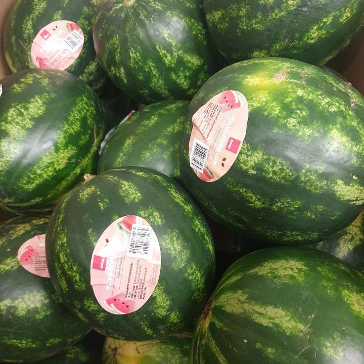 Hold dig ajour med dagens opdateringer fra Silkeborg