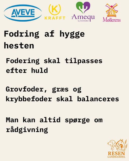 Resen Landhandel hjælper med at finde den rigtige fodring til hyggeheste