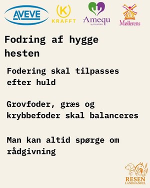opslagsbillede