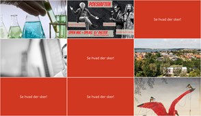 Ugen i Skælskør: Oplev alt fra videnskabelige foredrag til poesi og kunst