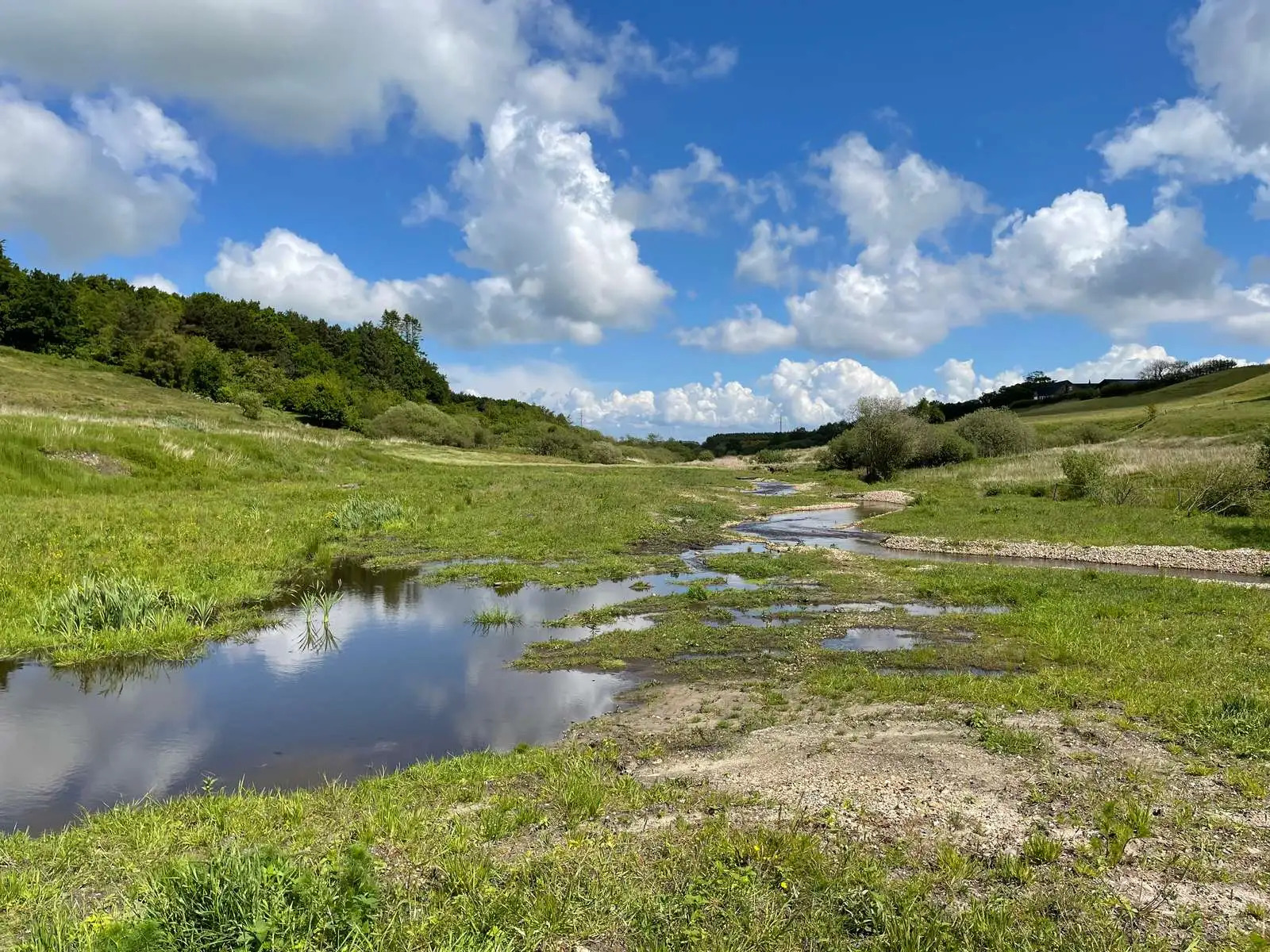 Succesfuld vandløbsrestaurering og naturgenopretning fejres i Struer Kommune