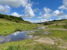 Succesfuld vandløbsrestaurering og naturgenopretning fejres i Struer Kommune