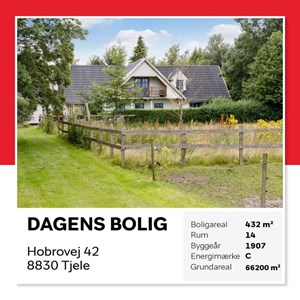 Opslagsbillede