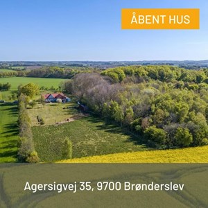 opslagsbillede